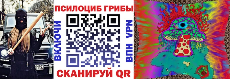 Псилоцибиновые грибы мицелий  купить закладку  площадка клад  Сургут 